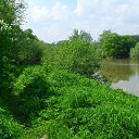 ����� � ������� �������� �� ����������� �� ������� ���� ����������