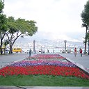  , , 47  -  11  2014   ,...