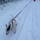  Roxanne, - -  8  2013   --