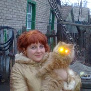 �����, 41 ���, ������