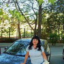 ���� �������, ������ - ��������� 20 ������ 2014 � ������ ���� ����������