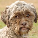  , --, 74  -  26  2013    