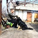 ���� ���������, �������, 49 ��� - ��������� 2 ������� 2013