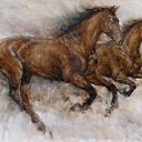 ���� **Markiza*c*250*, ����� - ��������� 6 ������ 2013 � ������ �GARY BENFIELD�