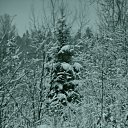 ���� ������� �., ����� - ��������� 18 ������ 2014 � ������ ������������� �����