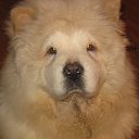 ���� ������, �����������, 58 ��� - ��������� 12 ������ 2014 � ������ ���� ����������