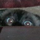 ���� ����, ��������, 52 ���� - ��������� 11 ����� 2014 � ������ ���� ����������