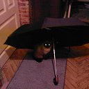 ���� Yuriy, ������, 63 ���� - ��������� 5 �������� 2013