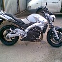 ���� ���������, �����������, 43 ���� - ��������� 20 ������ 2014 � ������ ���� ����������