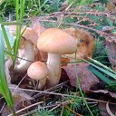 ���� ��������, �����-���������, 54 ���� - ��������� 18 ������ 2014 � ������ ���� ����������