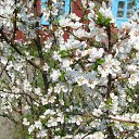 ���� Oleg, ������ - ��������� 1 ����� 2014 � ������ ������ ��������