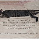 ���� �����, ������� - ��������� 14 ����� 2014 � ������ ������ ��������