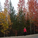 ���� �����, �������, 59 ��� - ��������� 20 ������ 2013 � ������ ���� ����������