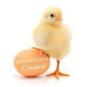 http://soundcloud.com/syntheticsax/syntheticsax-chicken-original/download   