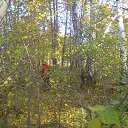 ���� �������, �����������, 32 ���� - ��������� 31 ������� 2013 � ������ ���� ����������