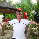 ���� �����, �����������, 47 ��� - ��������� 29 ������� 2013 � ������ ���� ����������