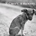 ���� ���, ������ - ��������� 18 ������� 2013 � ������ ���������