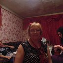 ���� �������, ������������, 43 ���� - ��������� 1 ������ 2014 � ������ ���� ����������