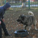 ���� ��������, ������-��-����, 51 ��� - ��������� 25 �������� 2013