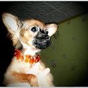 ���� �������, ������������ - ��������� 18 ������ 2014 � ������ ���������