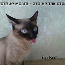 ���� ���, ������, 39 ��� - ��������� 5 ����� 2014 � ������ ������ ��������