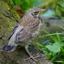 ���� �����, �����-��������� - ��������� 24 ������ 2013