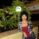 ��������,2013�