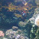 ���� �������, ������, 52 ���� - ��������� 27 ������� 2013 � ������ ���� ����������