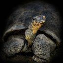 ���� �������, ��������, 63 ���� - ��������� 13 ������� 2014 � ������ ��������� ���� 2�