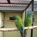 ���� ������, ������, 64 ���� - ��������� 21 �������� 2013 � ������ �� ����� ���� "�������" 18.09.2013�