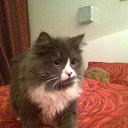 ���� �����, �����-���������, 59 ��� - ��������� 24 ������ 2014 � ������ ���� ����������