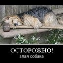 ���� ������, �����-��������� - ��������� 25 ������� 2013