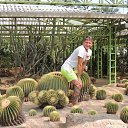 ���� �����, ������-���, 37 ��� - ��������� 21 ������ 2013 � ������ ���� ����������