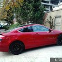 ���� ������� ������, ����������, 44 ���� - ��������� 20 ������� 2014 � ������ ���� ����������