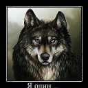 ���� ����, �����-��������� - ��������� 13 ������� 2013 � ������ ������ ��������