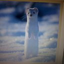 �����.�������� 2013�. �� ������� ���������