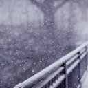 ���� ������, ������, 39 ��� - ��������� 13 ������� 2014 � ������ ������ ��������