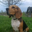 �����, ��� ������ ����! �� ������� ���� ����������