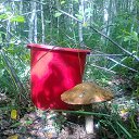 ���� ����, �������, 47 ��� - ��������� 22 ������� 2013 � ������ ��� �������