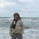 ,   ,     .      .   ,  2013