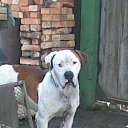 ���� ������, �����, 54 ���� - ��������� 5 �������� 2013