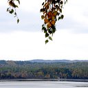 ���� Svann, ���������, 71 ��� - ��������� 6 ������� 2013 � ������ ������. ��. �������.�