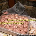 ���� ���, ������������, 30 ��� - ��������� 2 �������� 2013 � ������ ���� ����������