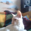 ���� �����, ������ - ��������� 11 ������� 2013 � ������ ���� ����������