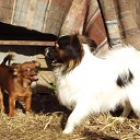 ���� ���������, �����, 51 ��� - ��������� 14 ����� 2014 � ������ ���������� ��������