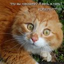 ���� ���, ������������, 30 ��� - ��������� 2 �������� 2013 � ������ ���� ����������