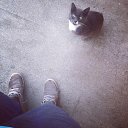 ���� �����, ������, 32 ���� - ��������� 10 ������� 2013