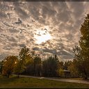  , , 46  -  3  2013   . 