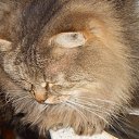 � ������ ������ ������� �� �������. �� ������� ���� ���� � ������ ��������