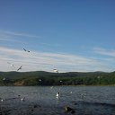 ���� �������, ����������� - ��������� 15 ������ 2013 � ������ ������� ������ɻ